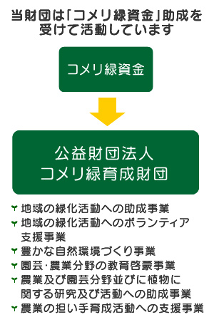 当財団は「コメリ緑資金」助成を受けて活動しています。