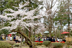 本成寺庭園