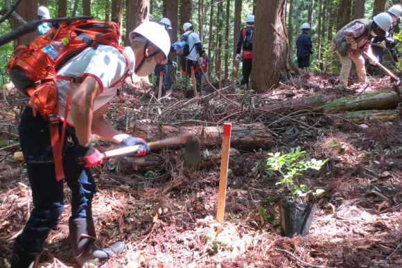 自然環境保全活動 白神山地植樹