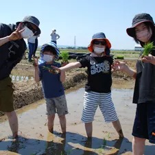 活動内容田植え写真2
