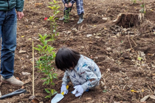 一般社団法人大島未来開発