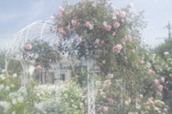 春江大好きプロジェクト